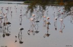 LIPU (saline Priolo)