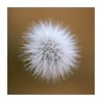 Sooooffice... Sooooffice...