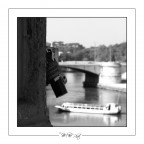 NSF Roma 2008 NSF Roma 2008