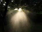 piove piove
