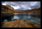 Lago tra i larici Lago tra i larici