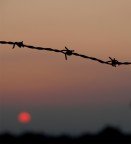 in trappola.... in trappola....