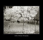 Childood memories Childood memories