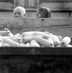 immagini di citta' immagini di citta'