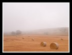 ...IN THE FOG...