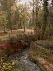 tavolozza d'autunno tavolozza d'autunno