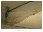 tempo di aratura tempo di aratura
