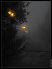 FOG FOG