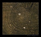 Quanti anni hai? Quanti anni hai?