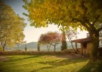 Autunno Autunno