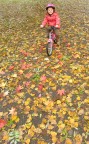Un giro al parco