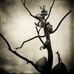 Villa Medici 3 Villa Medici 3