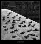 assembramenti assembramenti