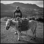 irlanda #14 irlanda #14