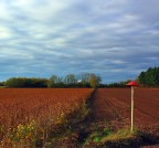 Campo Cinese Campo Cinese