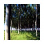 direzioni prospettiche direzioni prospettiche