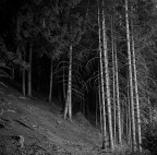 scoscesi pendii scoscesi pendii