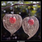 I due frutti I due frutti