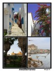 Mediterraneo..