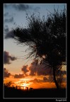 ...al calar del sol... ...al calar del sol...
