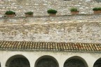 Assisi 1 Assisi 1