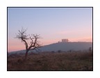 ...FIRST LIGHT...