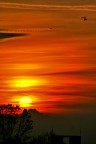 Volando nel tramonto rosso Volando nel tramonto rosso