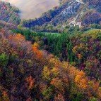 autunno 2008-5 autunno 2008-5