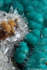 Rosasite Rosasite