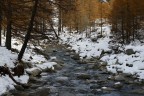 Fiume con la prima neve Fiume con la prima neve