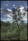 Mio Primo HDR