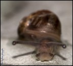 "che bella giornata oggi: piove" "che bella giornata oggi: piove"