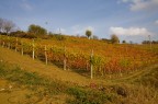 Langhe -Sinio 3- Langhe -Sinio 3-