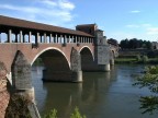 Pavia Pavia