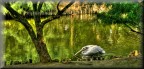 sul fiume sul fiume