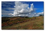 Vigne e nuvole 2 Vigne e nuvole 2