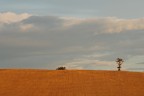 Marche: inizia un nuovo giorno