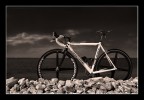 cannondale on te beach cannondale on te beach