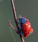 ...tutta bagnata..... ...tutta bagnata.....