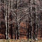 Passeggiata autunnale in montagna Passeggiata autunnale in montagna