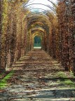 autunno autunno