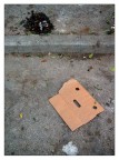 L'ambientalista L'ambientalista