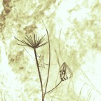 Grafismi 03 Grafismi 03