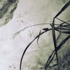 Grafismi 02 Grafismi 02