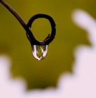 Un altro.... Un altro....