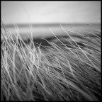 irlanda #22 irlanda #22