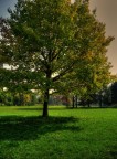 Verso l'autunno... Verso l'autunno...