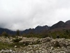 parco nazionale d'abruzzo parco nazionale d'abruzzo
