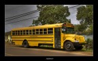 school bus school bus