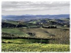 toscana1 toscana1